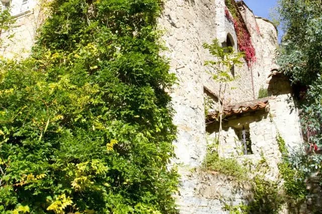 Chateauzen — photo 5