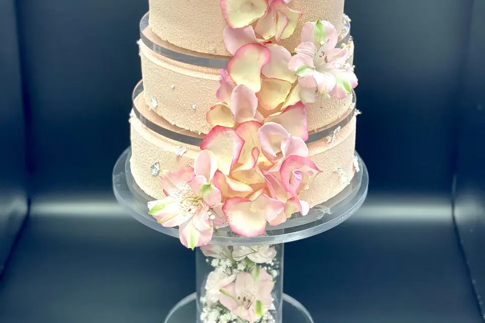 Anyssa Zemmouri — photo 5