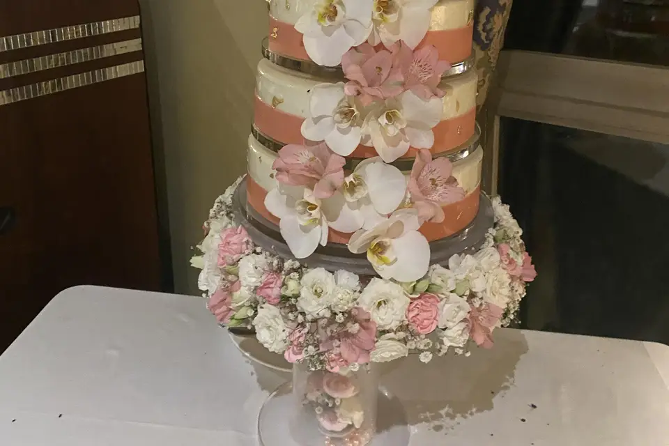 Anyssa Zemmouri — photo 6