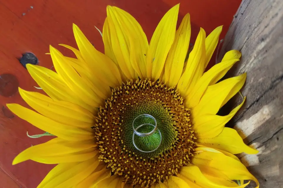 L'Antre de Max' — photo 5