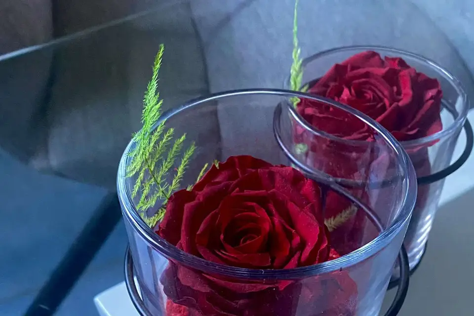 Evasion & P'tit Budget — photo 4