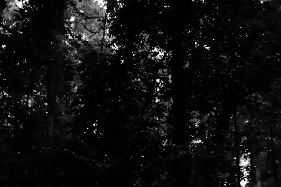 Morgane Green — photo 2