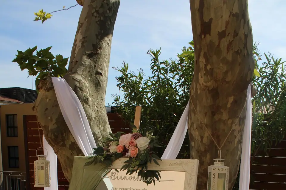 MS Prestige Évent — photo 1