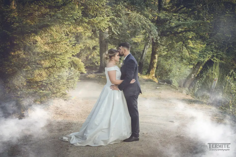 Termite Design/Photographie — photo 4