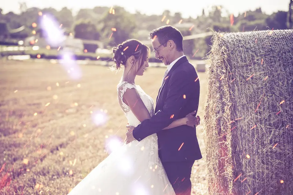 Termite Design/Photographie — photo 5