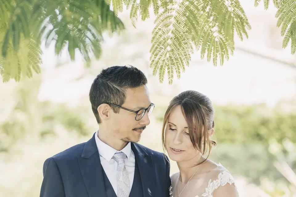 Termite Design/Photographie — photo 2