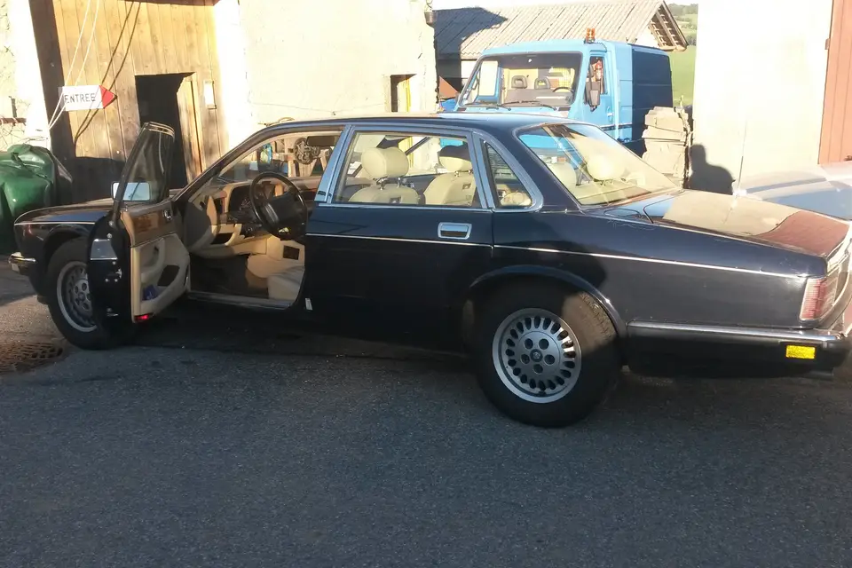 De Maere — photo 6