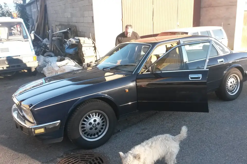 De Maere — photo 1