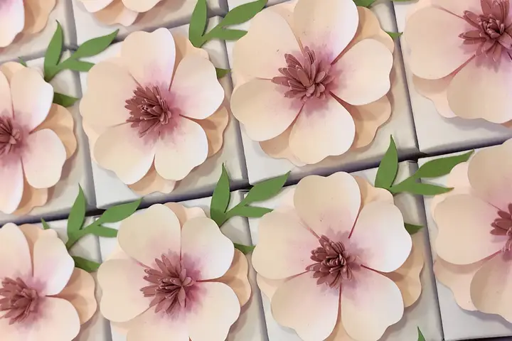 La Bonbonnière — photo 6