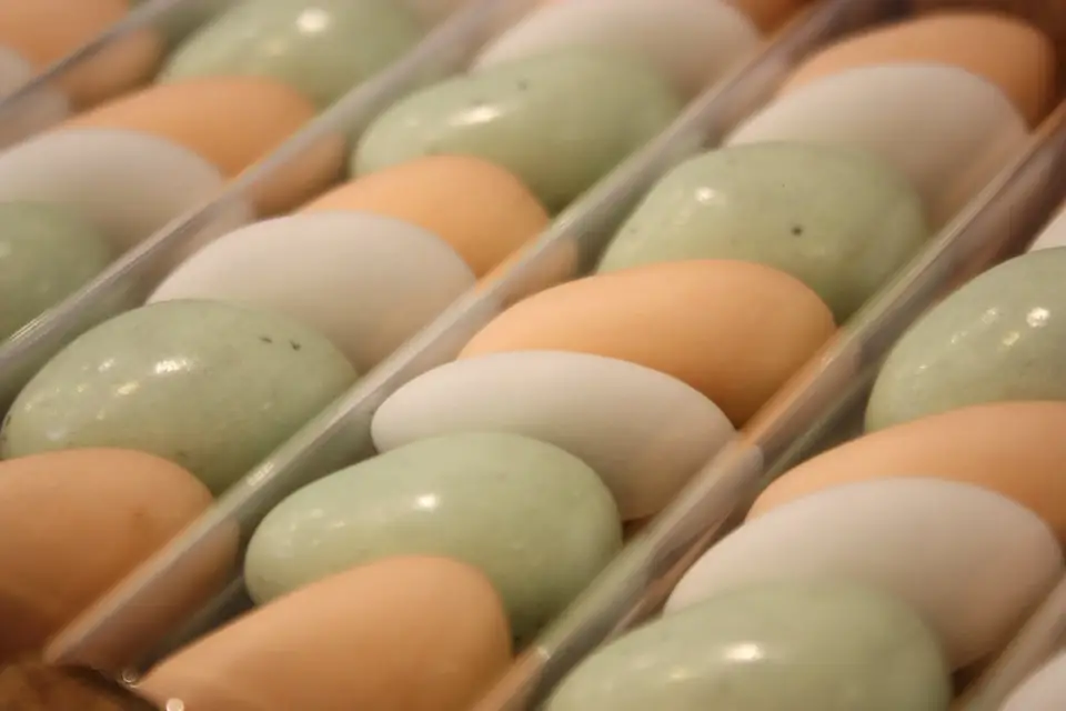 La Bonbonnière — photo 8