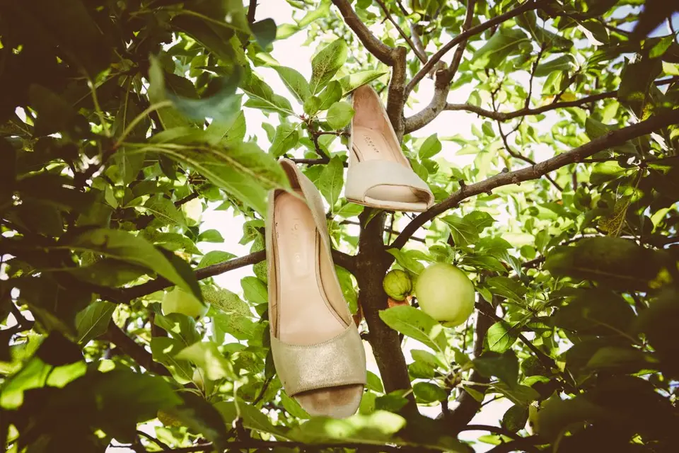 Phosphenes — photo 4