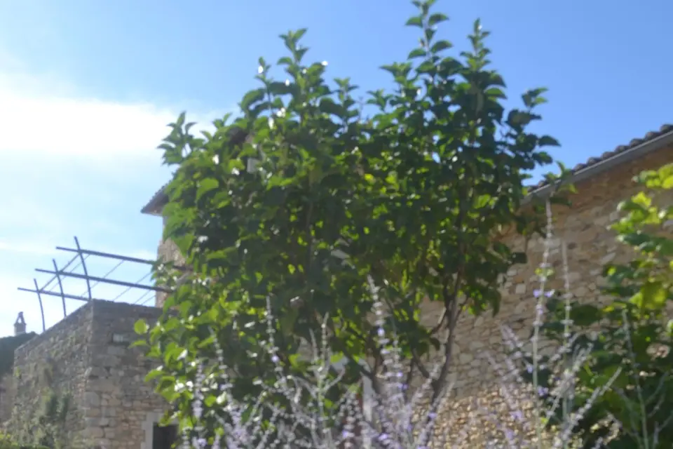 Un Grain de Folie — photo 5