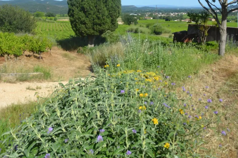 Un Grain de Folie — photo 4