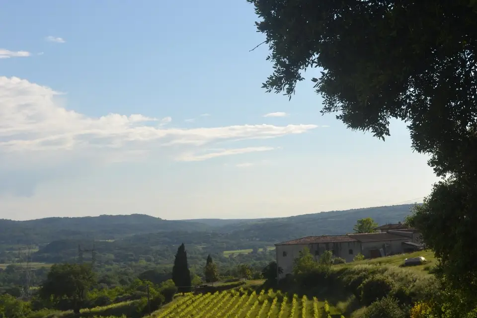 Un Grain de Folie — photo 6