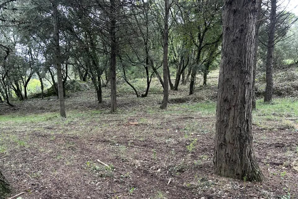 Un Grain de Folie — photo 7