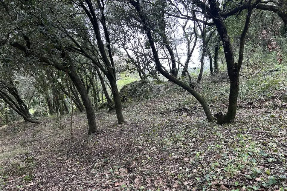 Un Grain de Folie — photo 8