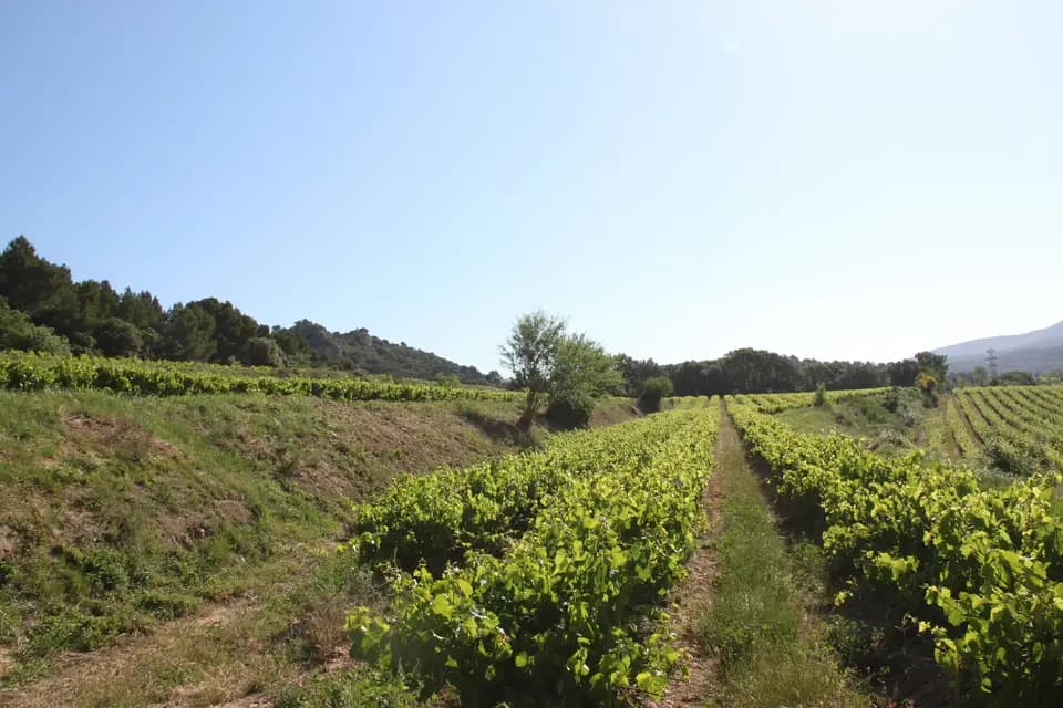 Un Grain de Folie — photo 1