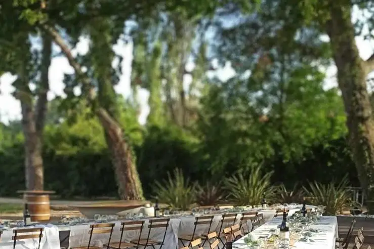 L'Oasis du Saule — photo 8