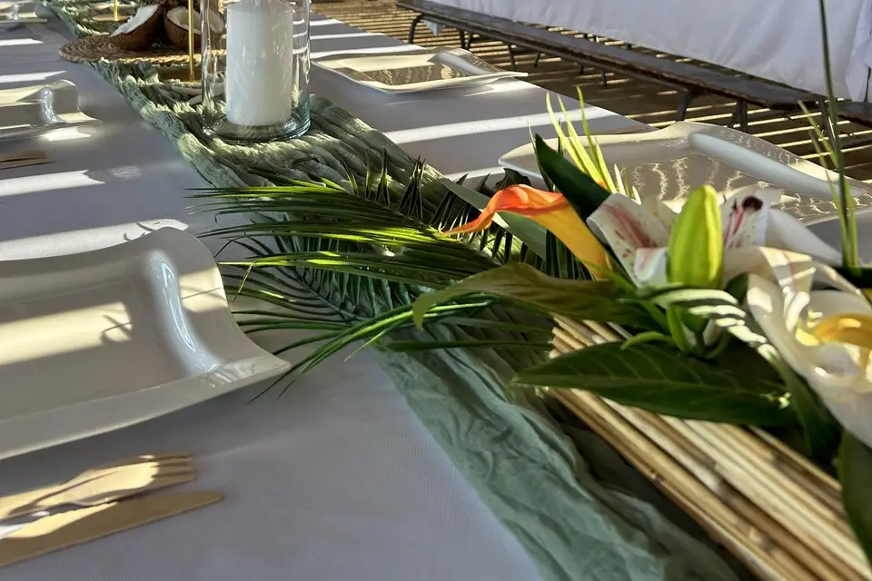 Twenty Evenements — photo 5