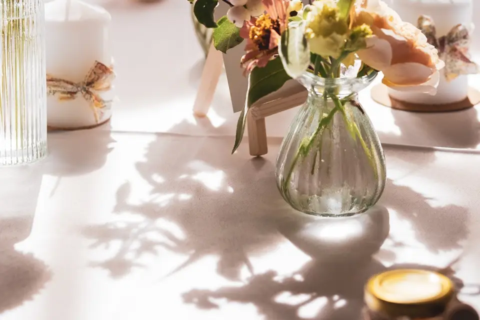 Dualines — photo 4