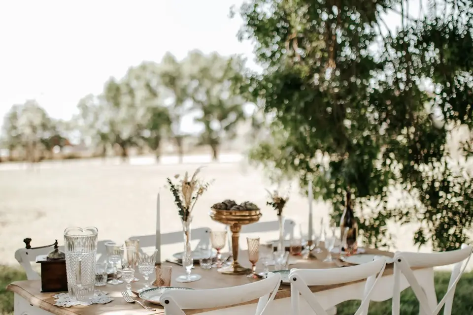 Château de la Busquette — photo 5