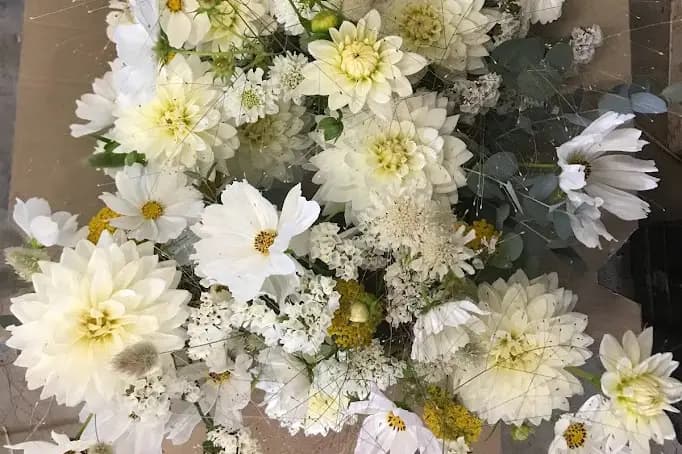 Poppie Ferme Florale — photo 7