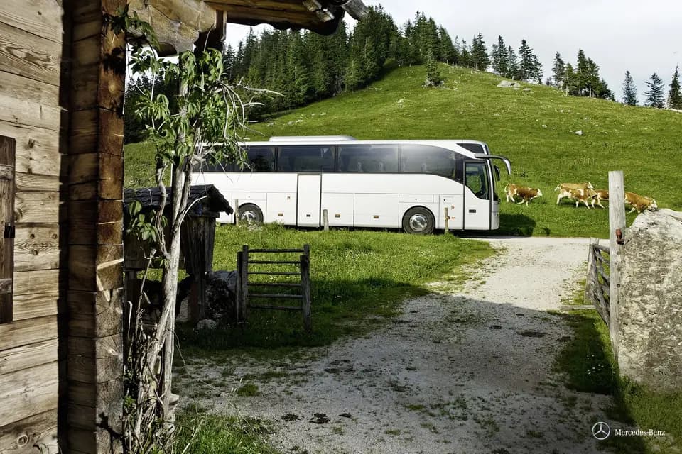 Cars de France — photo 6