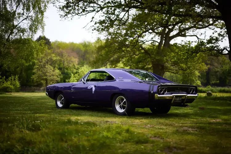 Jm Wanted Cars — photo 1