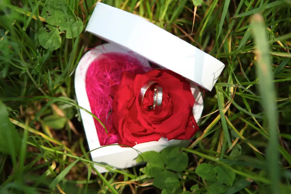 Marlène Truchet Photographe — photo 4