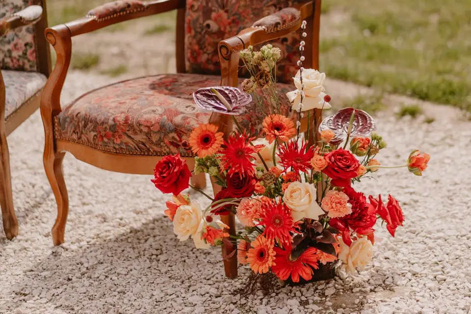 Ambiance Végétale — photo 4