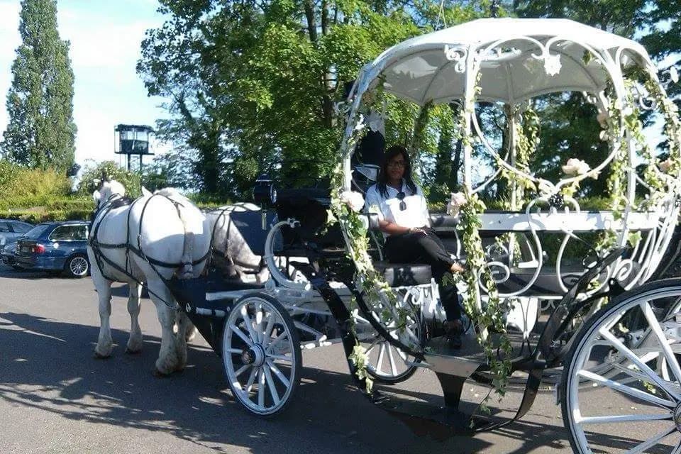 Katryn Events — photo 4