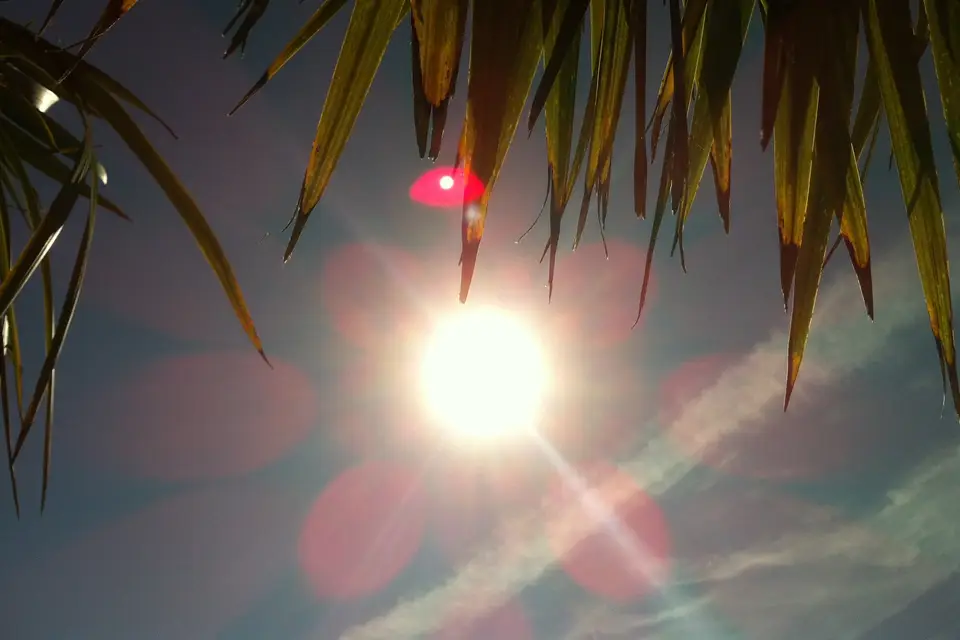 Events Prod' 91 — photo 1