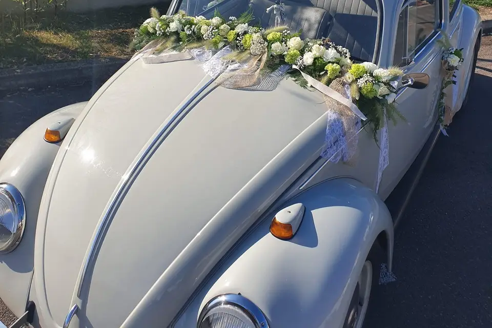 4 Nat'ures — photo 7