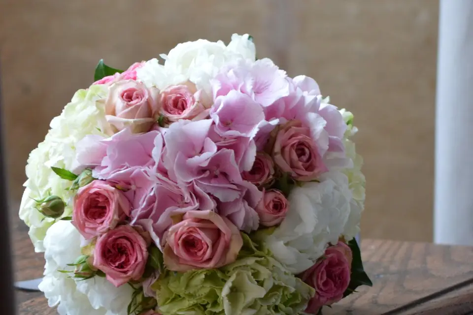 Château de Sauveboeuf — photo 8