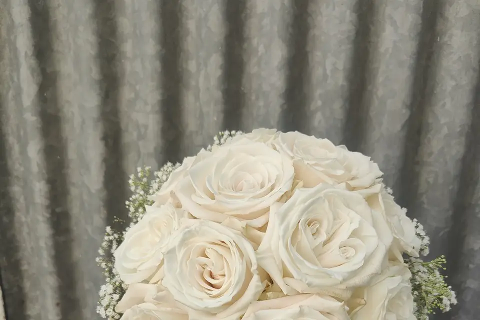 4 Nat'ures — photo 2