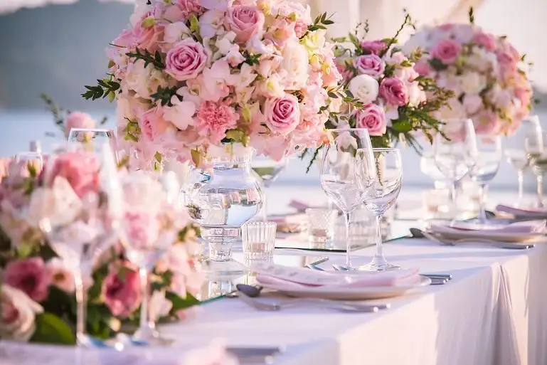 Ladybird — photo 6