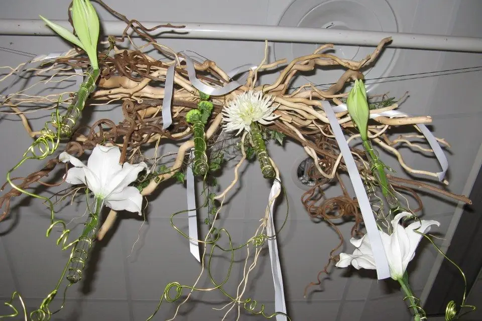 Festicolor Créations — photo 2