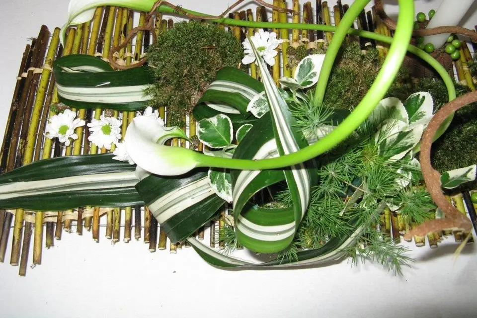 Festicolor Créations — photo 3