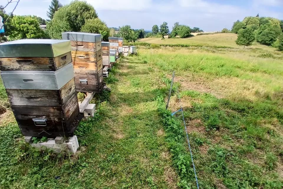 Rucher du Boucheron — photo 4