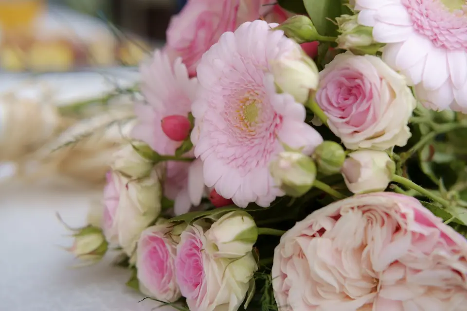 Renohenry — photo 1