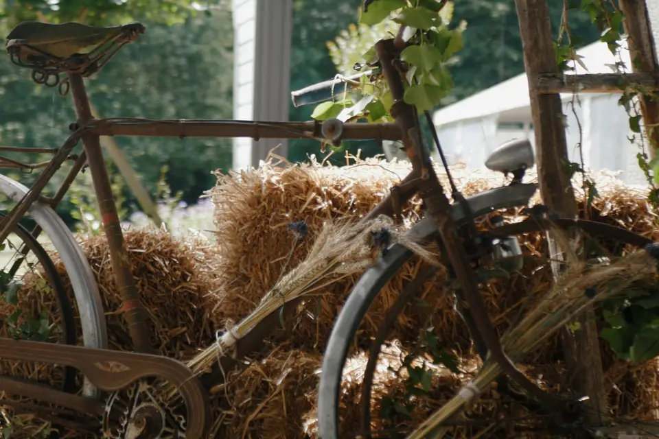 Adrien Segaud Production — photo 1