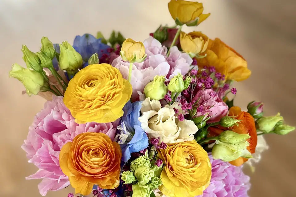 L’ Atelier Botanique Cambrai