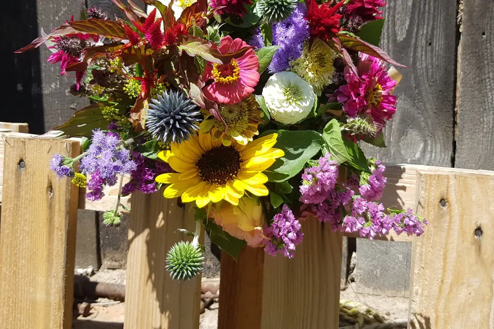 Floristan — photo 5