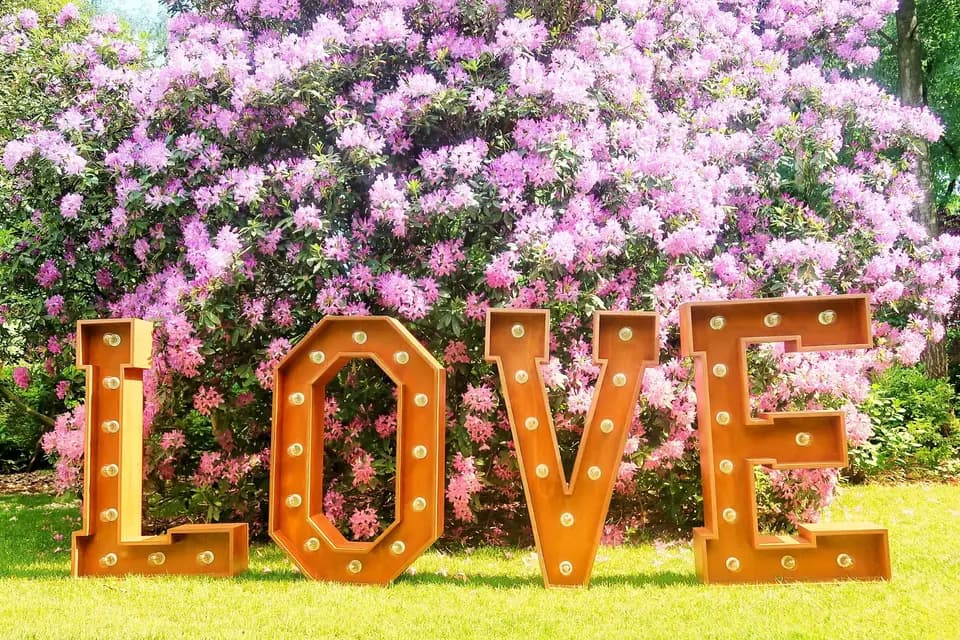 Flashletters — photo 3