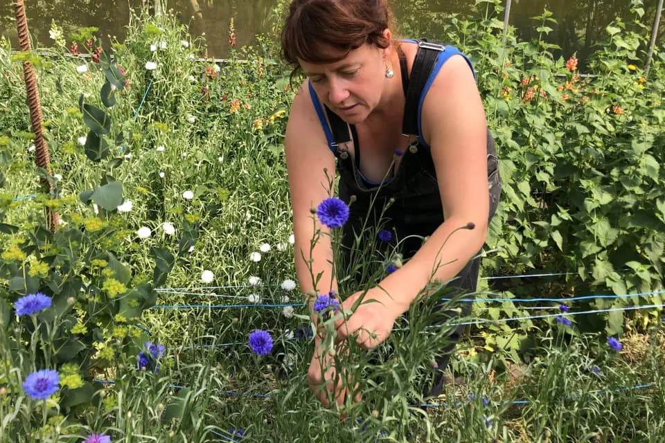 Floristan — photo 7