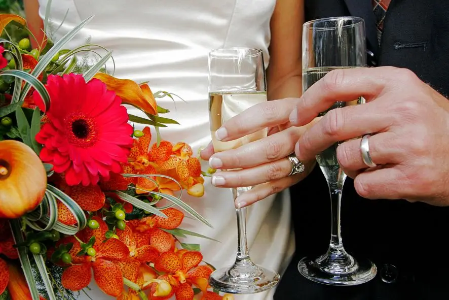 Domaine Etienne Simonis — photo 8