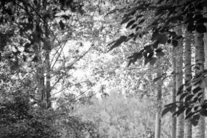 Samy Photographe — photo 2