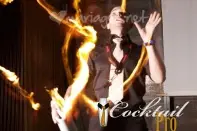 Cocktail Pro — photo 3