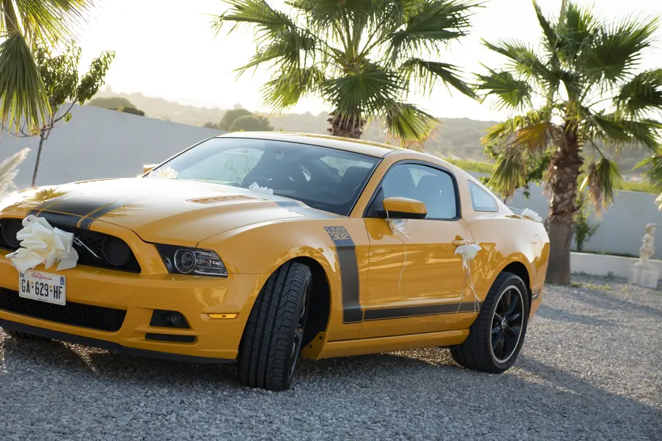 Nina Liguoro — photo 8