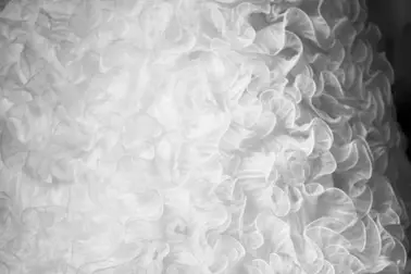 Olivier Tisserand — photo 6